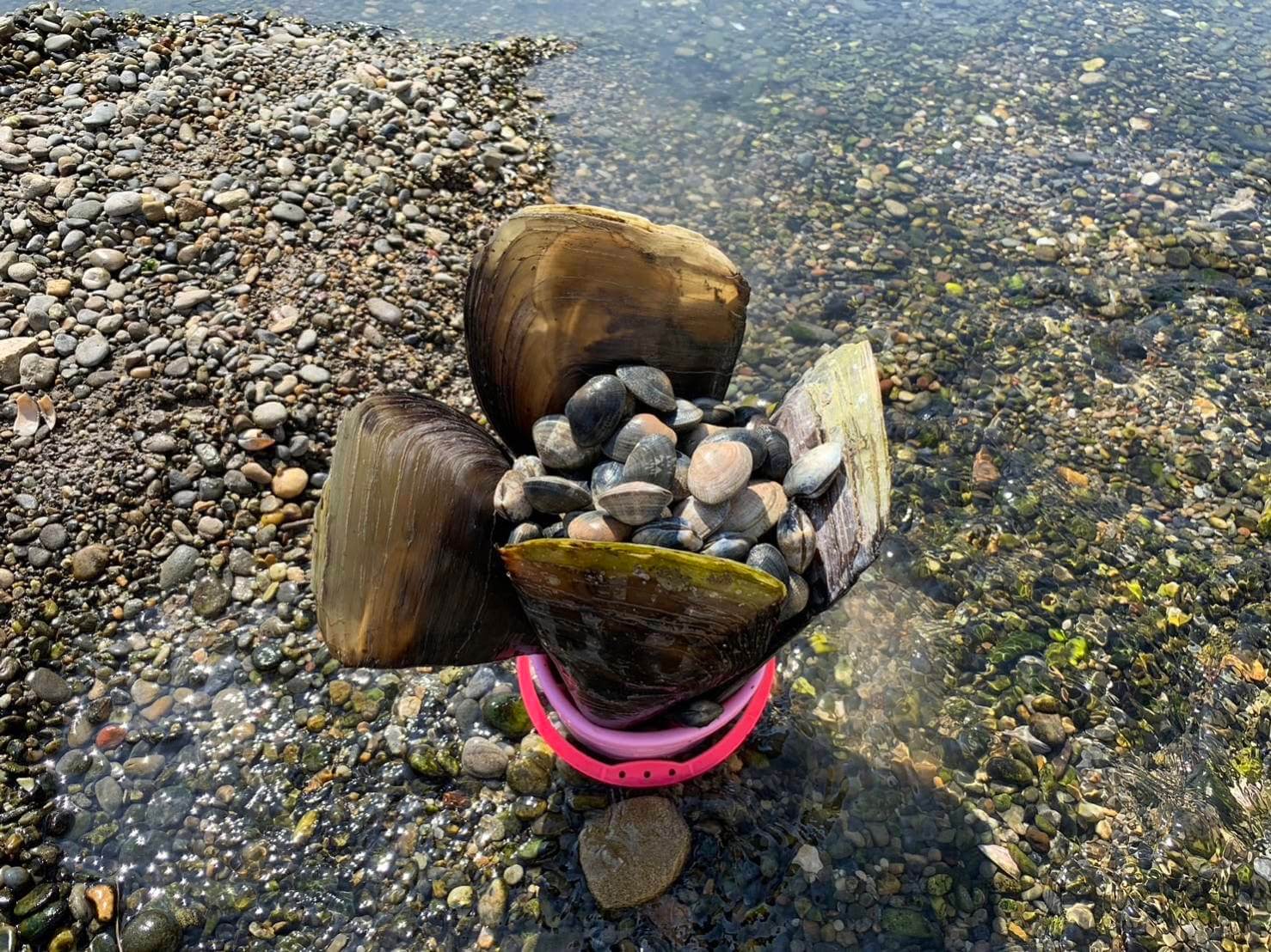 浩 漁 水産